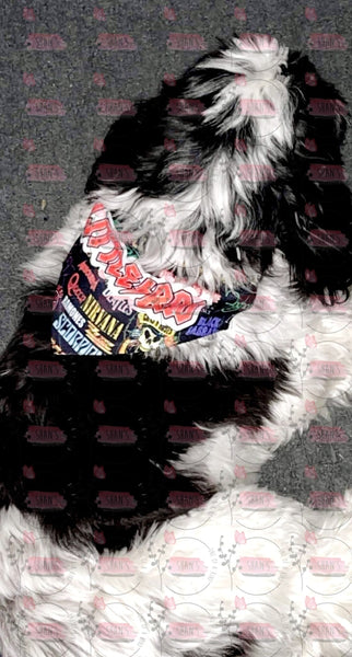 Dog Collar With Bandanas